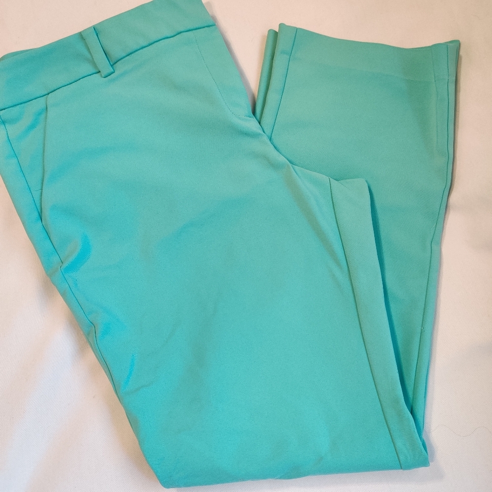 7th Avenue Design Studio NY & Company  Aqua Blue pants 18
